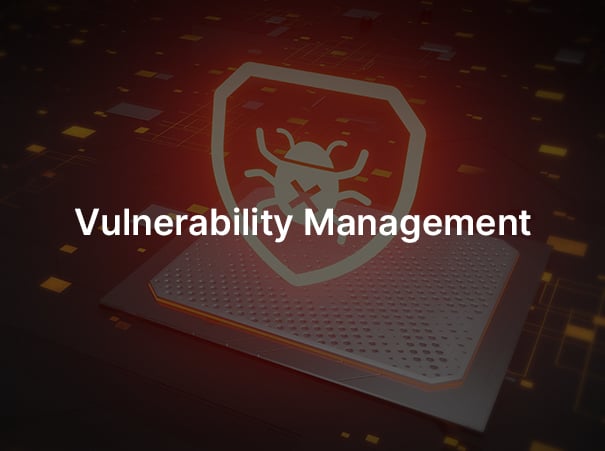 Vulnerability Management